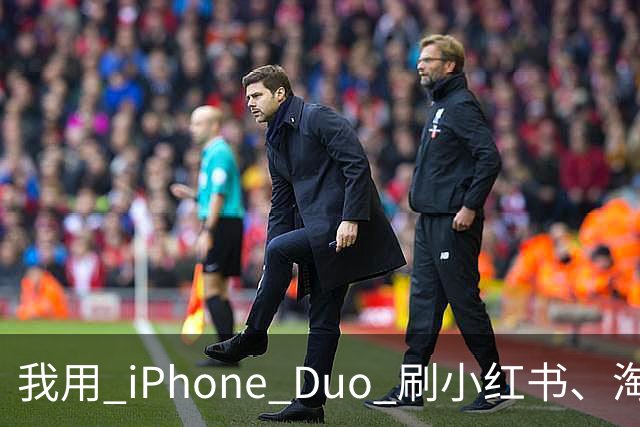 我用 iPhone Duo 刷小红书、淘宝、飞书，发现作用不只是装「阔」